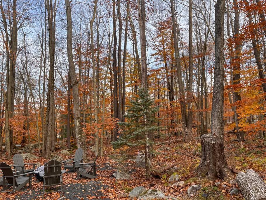 Stylish And Cozy Cabin, Walking Distance To Big Bass Lake Gouldsboro Luaran gambar