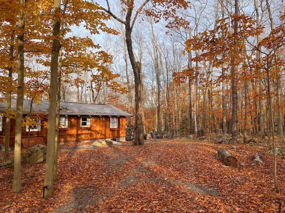 Stylish And Cozy Cabin, Walking Distance To Big Bass Lake Gouldsboro Luaran gambar